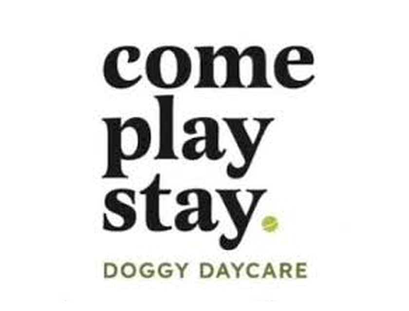 Come, Play, Stay Doggie Daycare